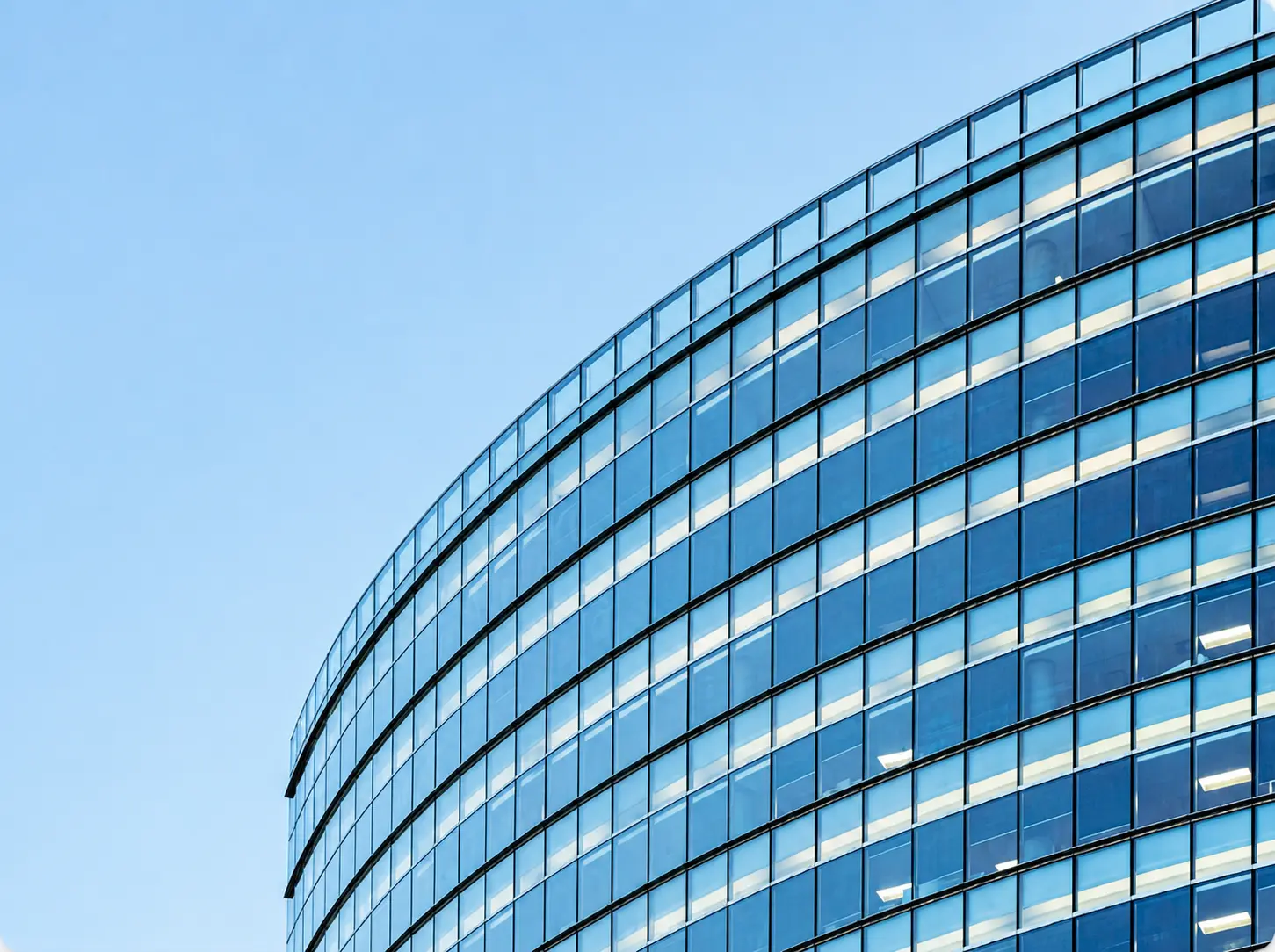 About Capace Software